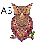 Owl A3