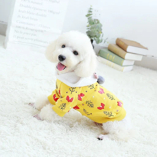 Title 9, Plush teddy bear fighting pet clothes. Protect ...