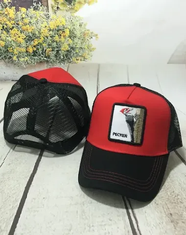 Image product - 1