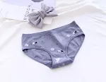 Cartoon print katoenen meisjes triangle slip met middelhoge taille, comfortabel en perfect voor dagelijks gebruik. — foto 12