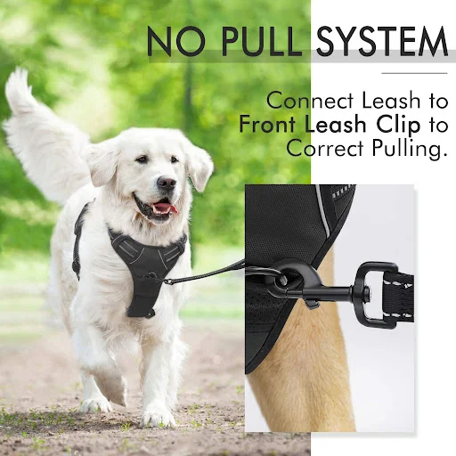 Title 4, Medium and large dog vest type rope, offering c...
