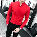 A1