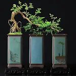 miniatures image - 2