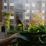 miniatures image - 2