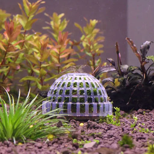 1pc Plastic Aquarium Moss Ball Filter Aquatic Pet Supplies Decorations For Shrimps Fish Tank Pet Products Fish Tank Deco — photo 3