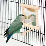 miniatures image - 2