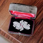 Broche de laço duplo removível de alta qualidade. Adicione estilo instantâneo a qualquer roupa. Prenda fácil e elegante, ideal para várias ocasiões. — foto 13