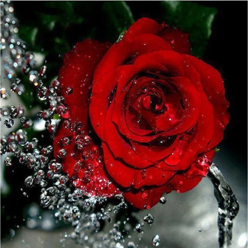 Title 5, Pintura en lienzo de rosas sin marco, arte digi...