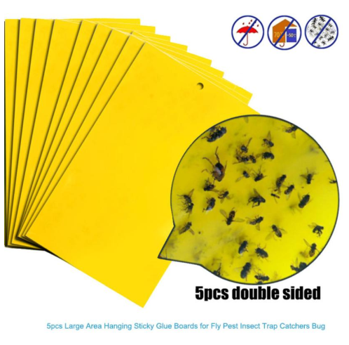 product image - 6