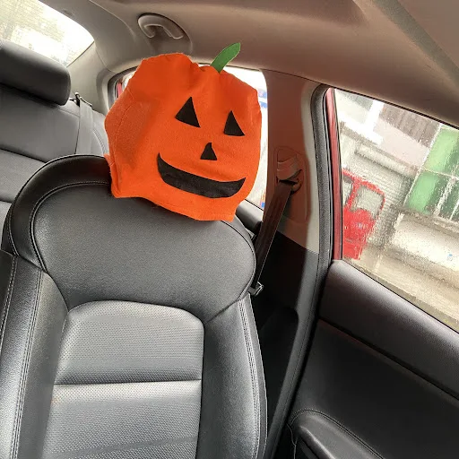 Title 6, Halloween Decorative Car Chair Cover Add a Spoo...