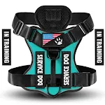 Lake Blue Chest Strap