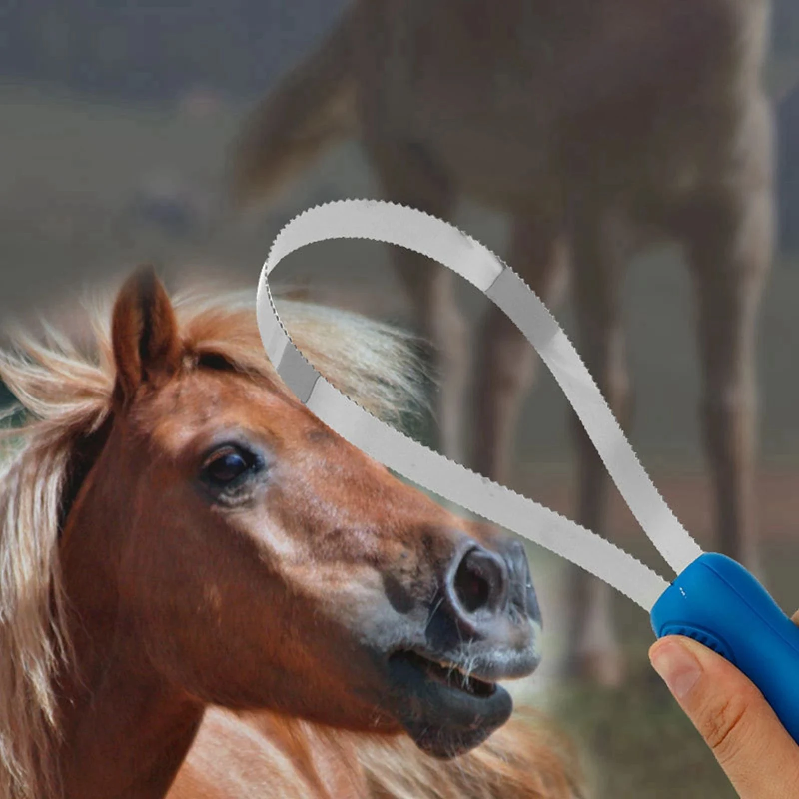 Title 5, Horse Grooming Comb Equestrian Brush Scraper No...