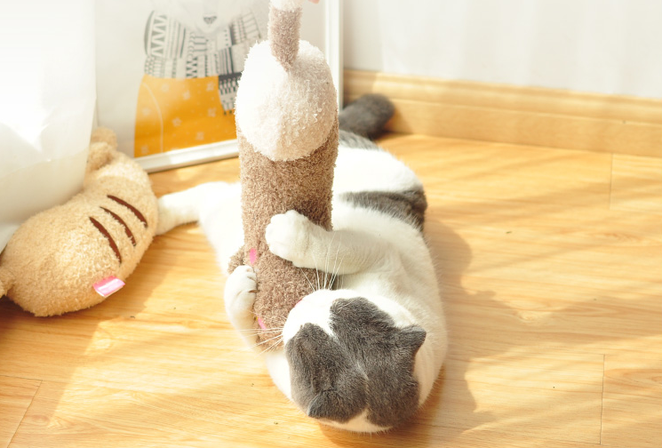 Almofada Brinquedo para Gatos Engraçada com Pau Suprimentos para Animais Design Divertido Brinquedo Interativo para Felinos — foto 11