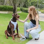 miniatures image - 24