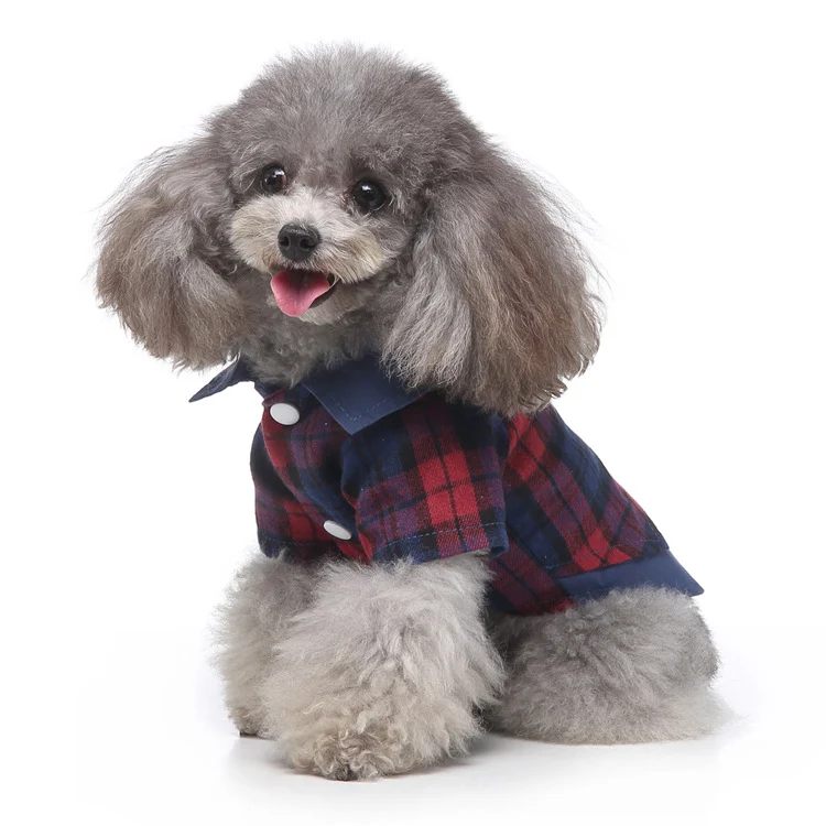 Title 6, Disfraza a tu perro con estilo con la ropa para...
