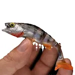 miniatures image - 2