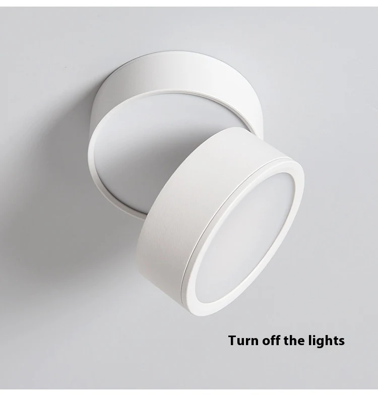 Title 21, Adjustable Angle Surface Mounted LED Spotlight ...