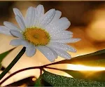 Photo Color