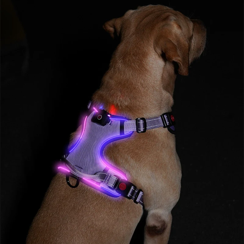 product image - 13