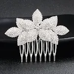 Silver HS J2422S
