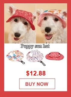 Title 6, Pet Eye Wear Dog Goggles Small Breed Dog Sungla...