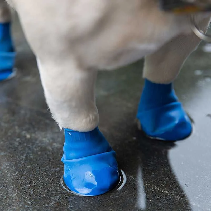Summer Dog Balloon Foot Cover Rain Boots Go Out — photo 5