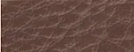 Paulownia bark
