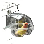 Parrot Bath Tub Bird Shower Box Transparent Bathing Tub External Bath Device Cage Accessories Bird Supplies Bird Bath Fo — photo 4