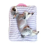 miniatures image - 20