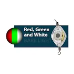 2 Red Green Flashing White