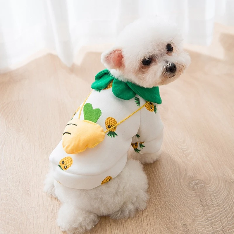 Fashionable and cute cartoon pet autumn and winter clothes. Warm and comfortable outfits for dogs and cats. Keep your fu — photo 5
