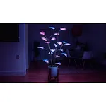 100 Programmable