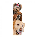 miniatures image - 1