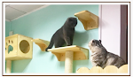 miniatures image - 2