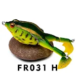 Color H
