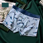 Shark