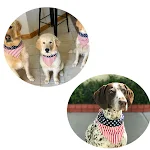 Lenço triangular para pets, tiara e joia, adicione charme e elegância ao seu cão ou gato, perfeito para um visual estiloso em qualquer situação — foto 3