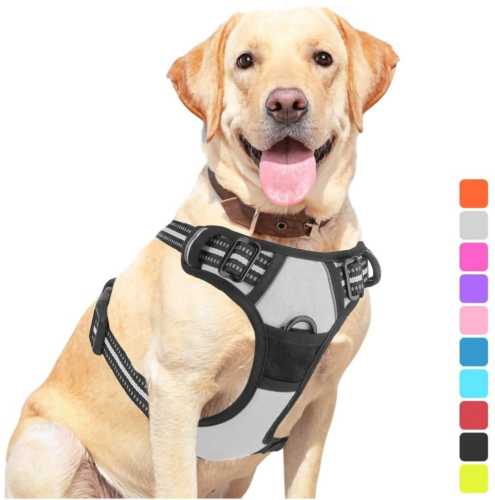 Title 9, Pet Dog Hand Holding Rope Chest Strap Safe and ...