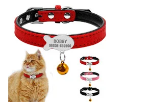Title 11, Personalized Dog Collars Custom Chihuahua Puppy...