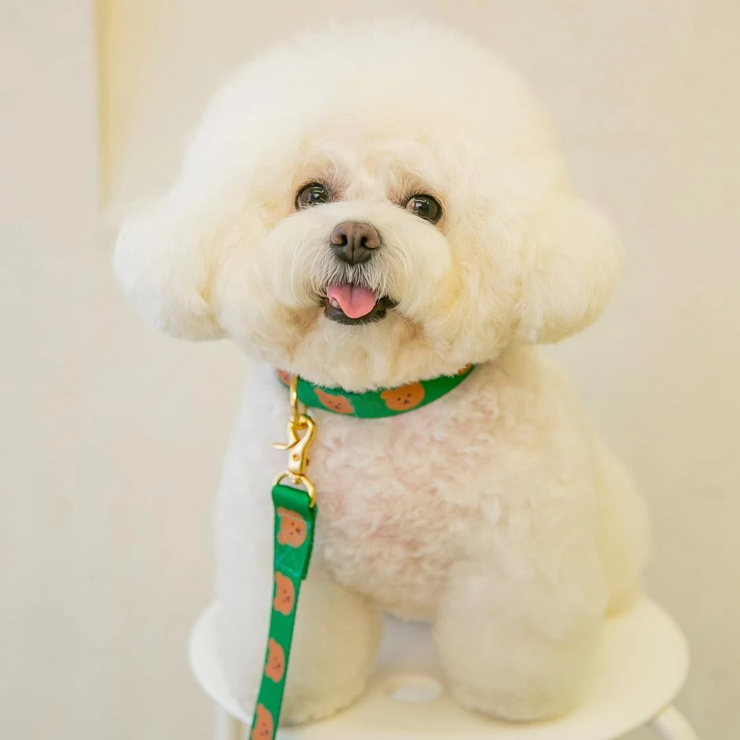 product image - 2