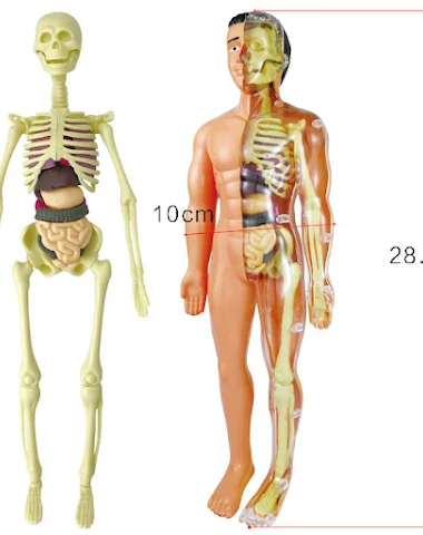 Image product - 3