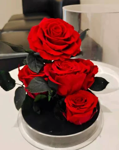 Image product - 1