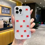 13Pro