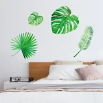 50x70cm