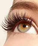 Women's Home Mascara 3g Cosmetics, enhances your lashes with volume, length, and definition. Perfect for everyday use an — photo 4