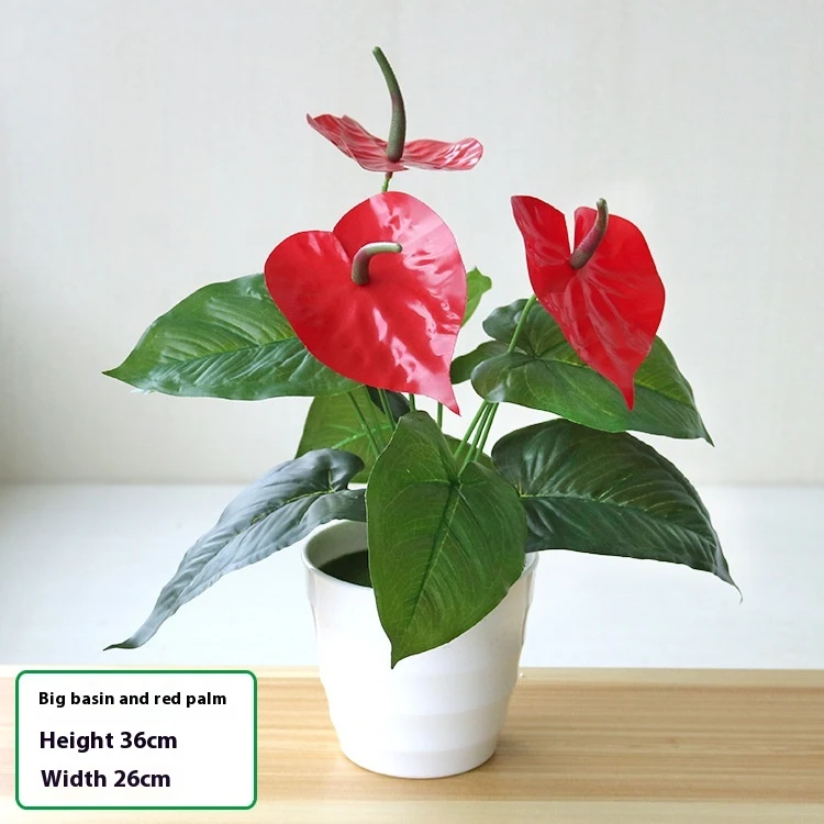 product image - 2