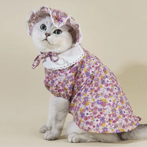 Title 6, Girly Style Floral Lace Princess Dress Cat Cost...