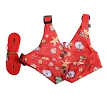 Red Christmas Dress