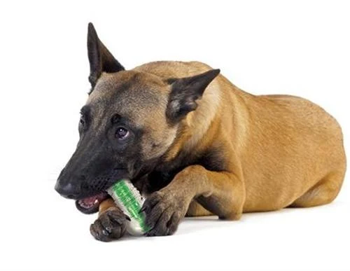 Crunchy Bone Toy for Dogs – Durable Chew Toy – Satisfies Natural Chewing Instinct – Promotes Dental Health and Provides — photo 2