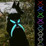 8 COLOR